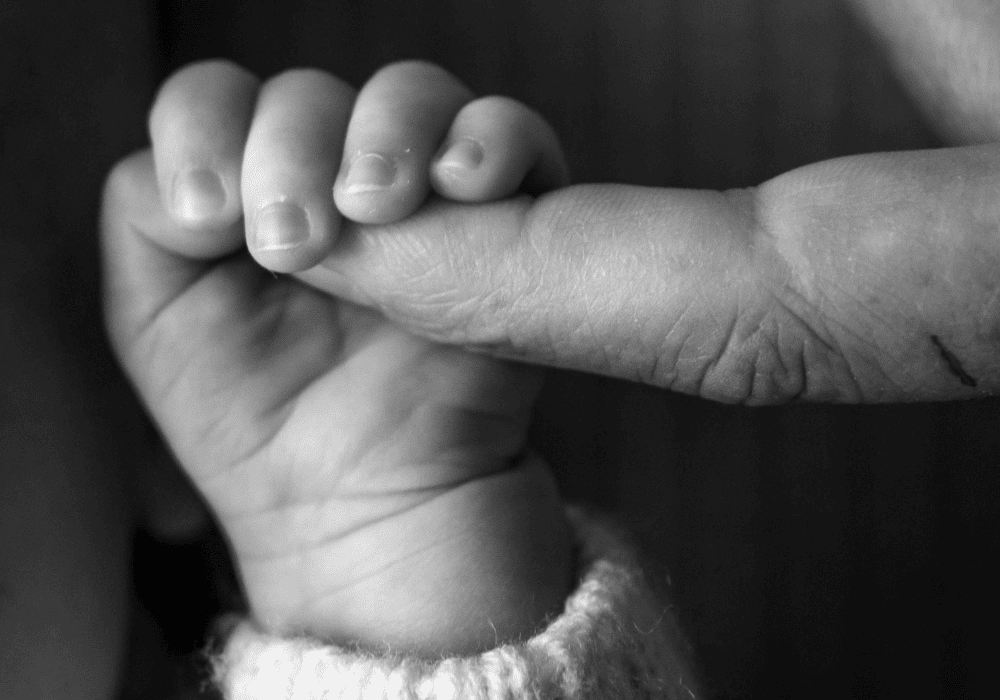 O instinto de proteção parental e o vínculo entre pais e filhos